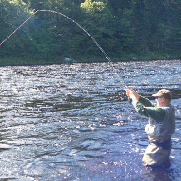 Meet your Posher, Jeff - Picture 1 of 1